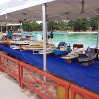 Exposition des bateaux